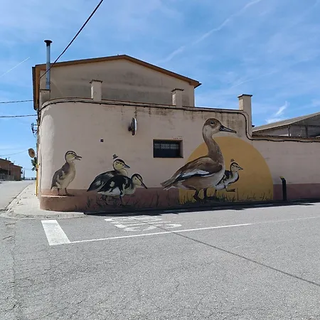 L'ocell Del Pla Nyaraló *