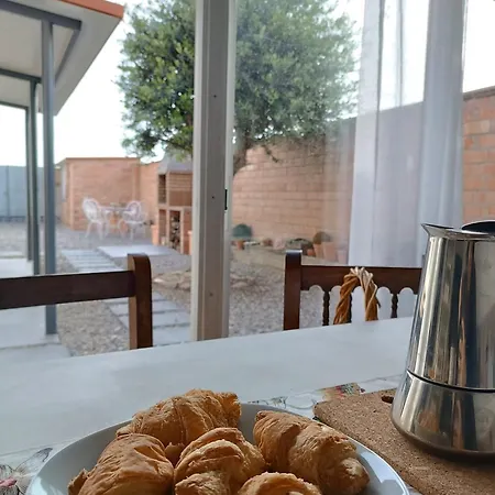 L'ocell Del Pla * Ivars d'Urgell