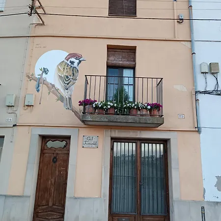 L'ocell Del Pla