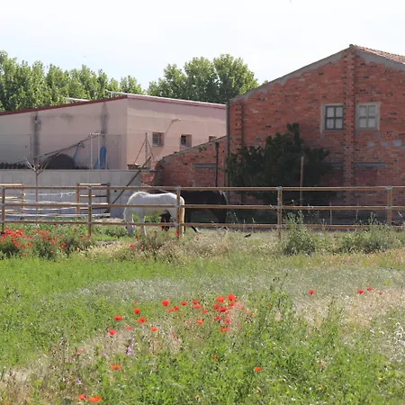 L'ocell Del Pla Ivars d'Urgell